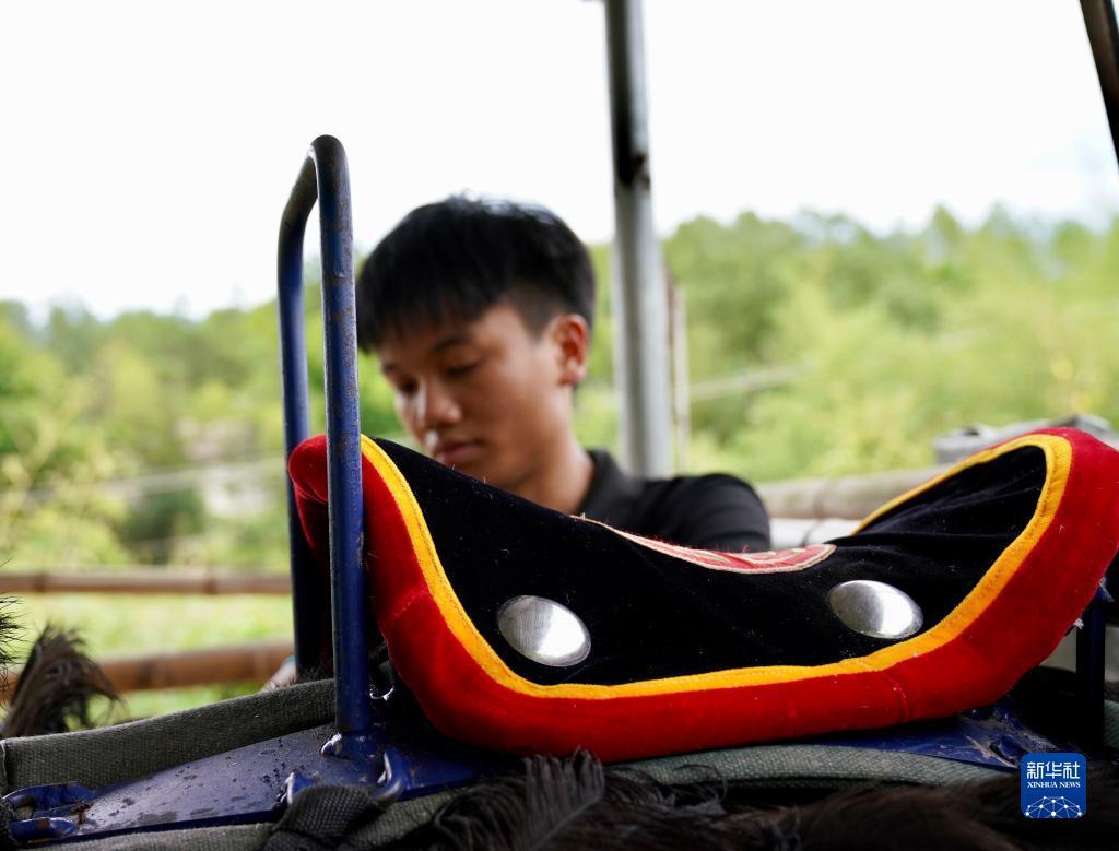 澳门动态即时盘